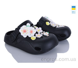 Кроксы Golden Lion